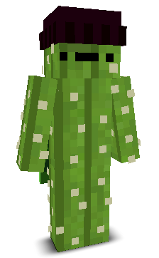 User's Minecraft appearance