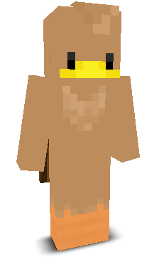 User's Minecraft appearance