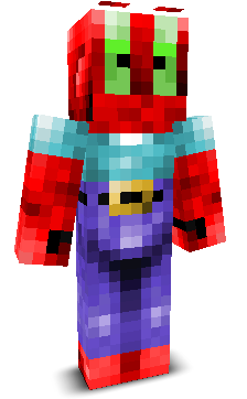 User's Minecraft appearance