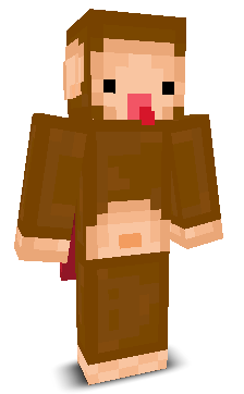 User's Minecraft appearance
