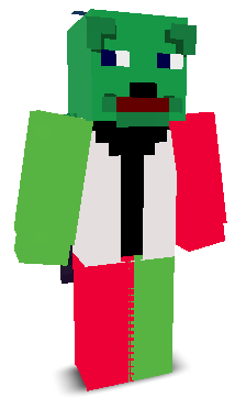 User's Minecraft appearance