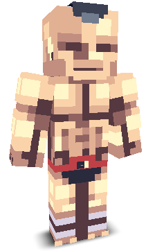 User's Minecraft appearance