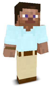 User's Minecraft appearance