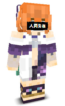 User's Minecraft appearance