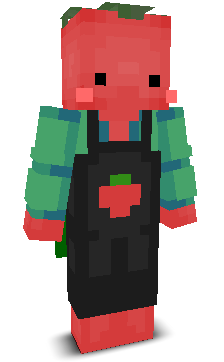 User's Minecraft appearance