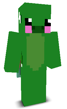 User's Minecraft appearance