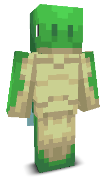 User's Minecraft appearance
