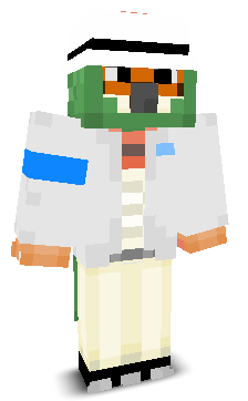 User's Minecraft appearance