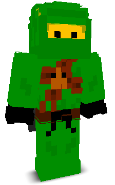 User's Minecraft appearance