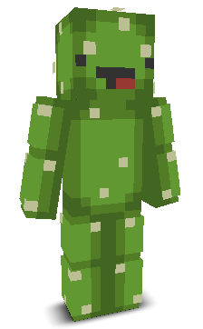 User's Minecraft appearance