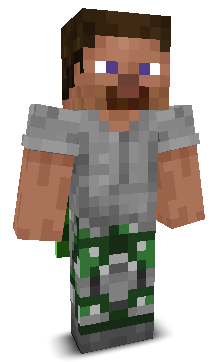 User's Minecraft appearance