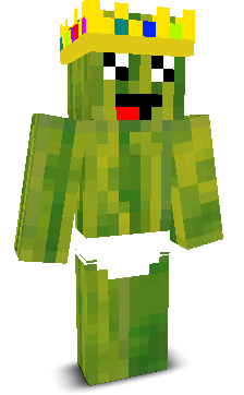 User's Minecraft appearance