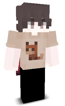 User's Minecraft appearance