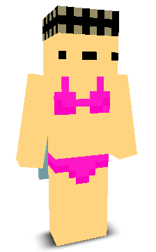User's Minecraft appearance