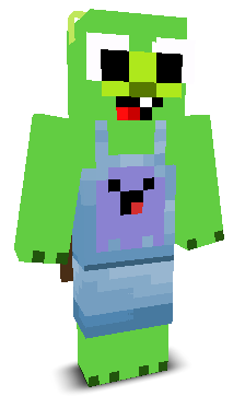 User's Minecraft appearance