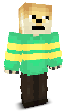 User's Minecraft appearance