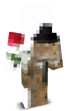 User's Minecraft appearance