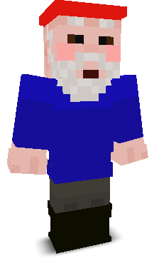 User's Minecraft appearance