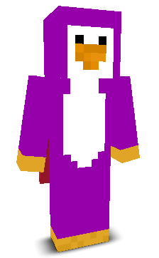 User's Minecraft appearance