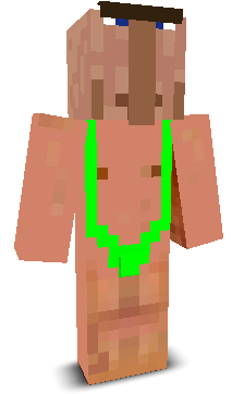 User's Minecraft appearance