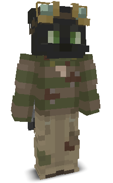 User's Minecraft appearance