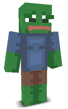 User's Minecraft appearance