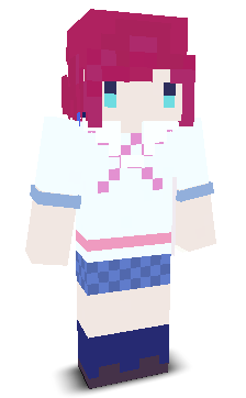 User's Minecraft appearance
