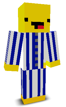 User's Minecraft appearance