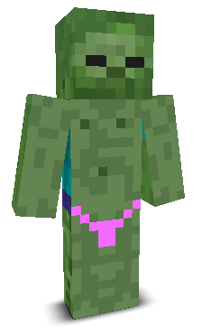 User's Minecraft appearance