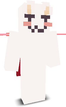 User's Minecraft appearance