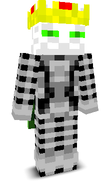 User's Minecraft appearance