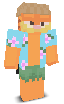 User's Minecraft appearance