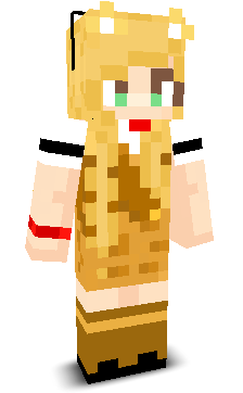 User's Minecraft appearance