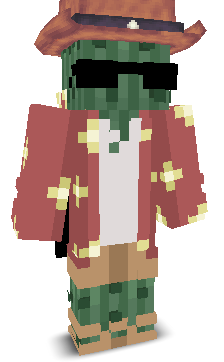 User's Minecraft appearance