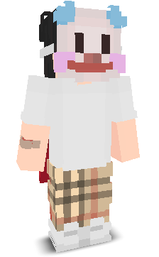 User's Minecraft appearance