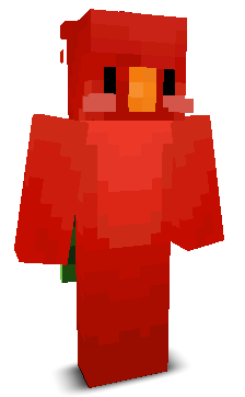 User's Minecraft appearance