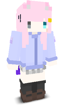 User's Minecraft appearance