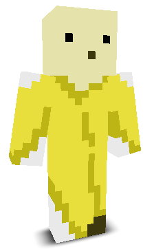 User's Minecraft appearance