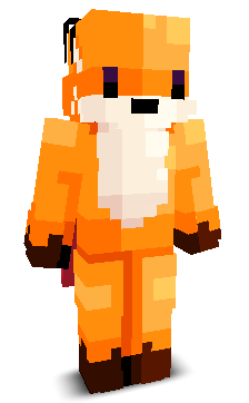 User's Minecraft appearance