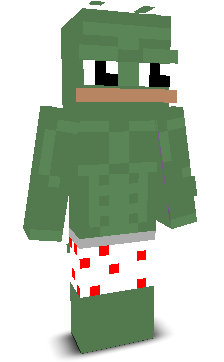 User's Minecraft appearance