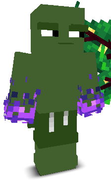 User's Minecraft appearance