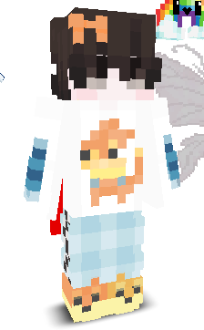 User's Minecraft appearance