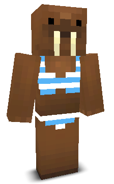 User's Minecraft appearance