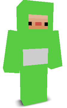 User's Minecraft appearance