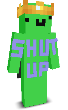 User's Minecraft appearance