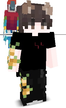 User's Minecraft appearance