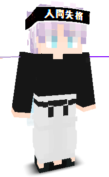User's Minecraft appearance