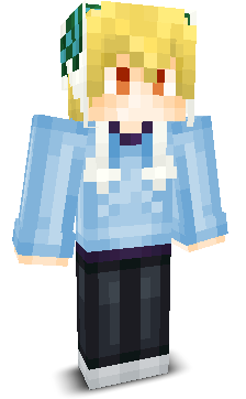 User's Minecraft appearance