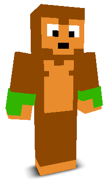 User's Minecraft appearance