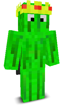 User's Minecraft appearance
